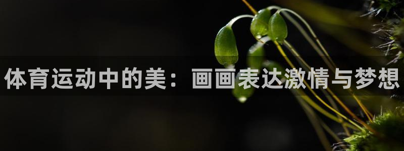 千亿国际官方正版app官网