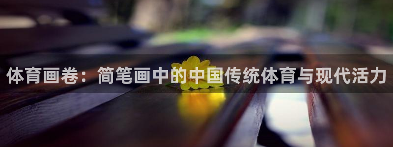 千亿国际官方正版app娱乐代理怎么样：体育画卷：简笔