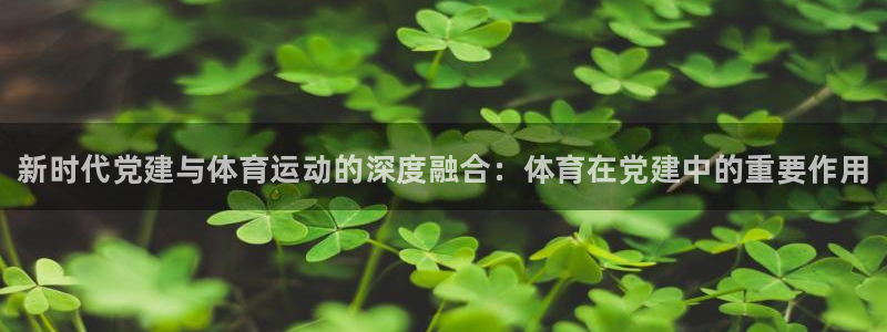 千亿国际官网下载招商电话号码查询是多少：新时代党建与