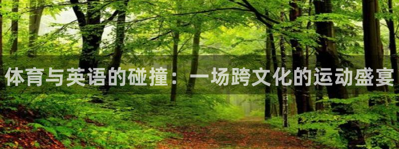 千亿国际官方正版app娱乐平台：体育与英语的碰撞：一场跨文化