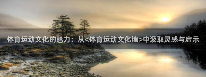 千亿国际官方正版app集团：体育运动文化的魅力：从<