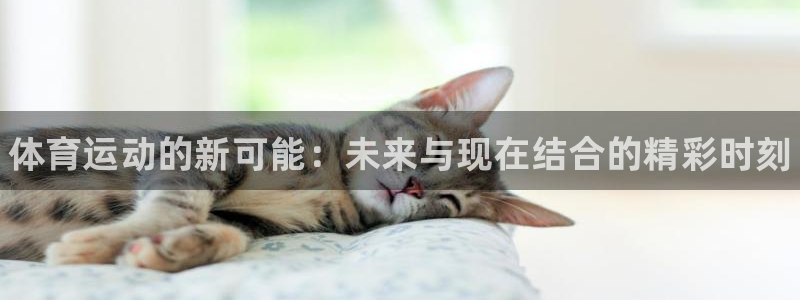 千亿国际官方正版app娱乐：体育运动的新可能：未来与