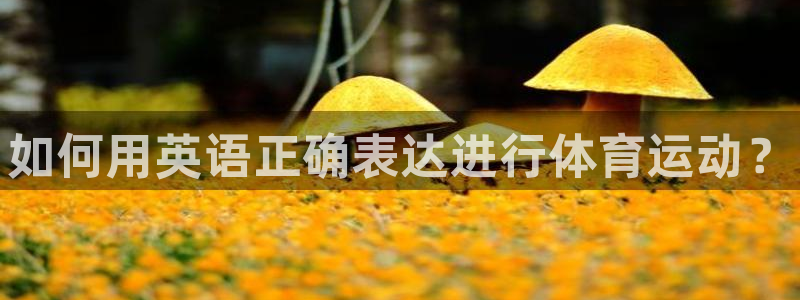 千亿国际官方正版app集团logo：如何用英语正确表达进行体