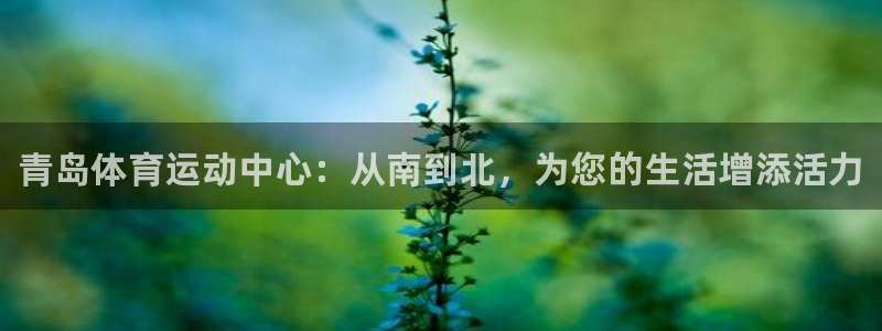 千亿国际官方正版app官网：青岛体育运动中心：从南到