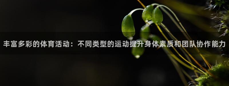 千亿国际官网下载平台是正规平台吗：丰富多彩的体育活动