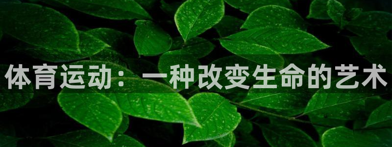 千亿国际官网下载娱乐：体育运动：一种改变生命的艺术