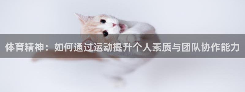 千亿国际官网下载招商电话号码查询是多少：体育精神：如