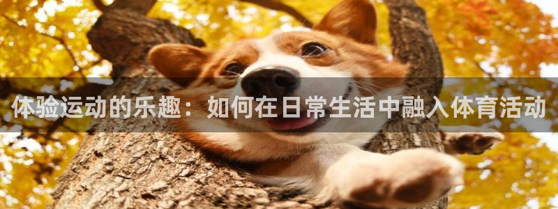 千亿国际官网下载平台注册流程图：体验运动的乐趣：如何在日常生