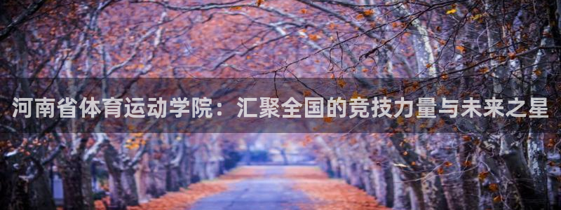千亿国际官方正版app娱乐网站：河南省体育运动学院：汇聚全国
