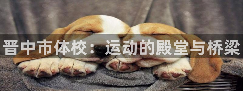 千亿国际官网下载注册：晋中市体校：运动的殿堂与桥梁