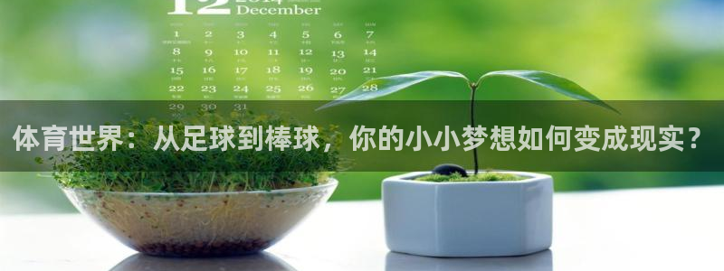 千亿国际官网下载娱乐：体育世界：从足球到棒球，你的小