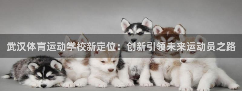 千亿国际官方正版app集团官网网址：武汉体育运动学校新定位：
