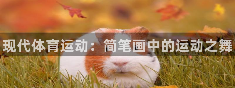 千亿国际官网下载招商电话地址查询：现代体育运动：简笔