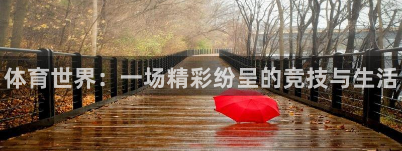 千亿国际官方正版app神州