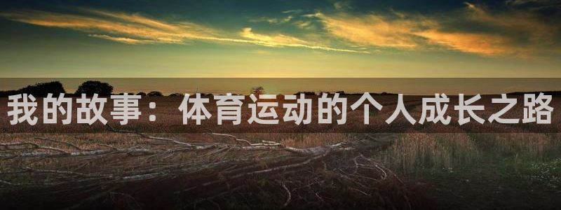千亿国际官方正版app娱乐平台：我的故事：体育运动的个人成长